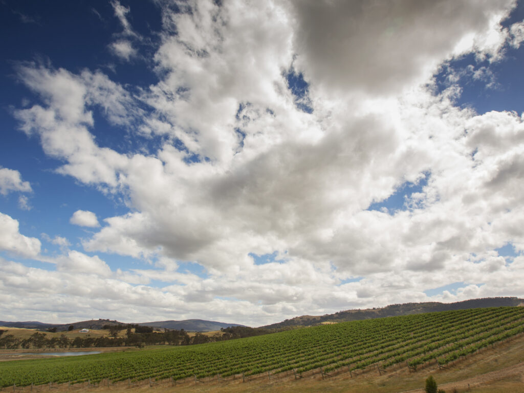 Ballarat Wine Region
